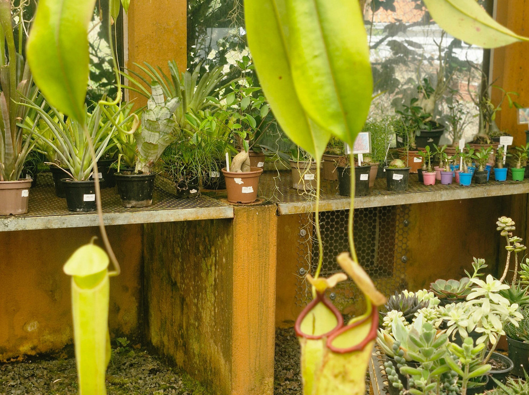 Orquidário MV-蒙特贝尔德必去景点