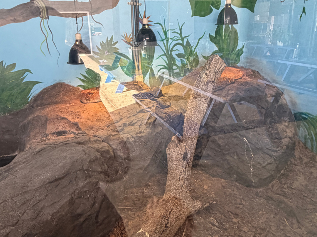 Iguanaland-蓬塔戈尔达必去景点