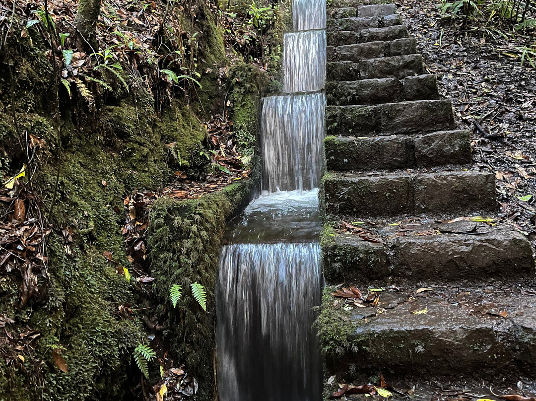 Madeira Wonder Hikes-沙尔必去景点