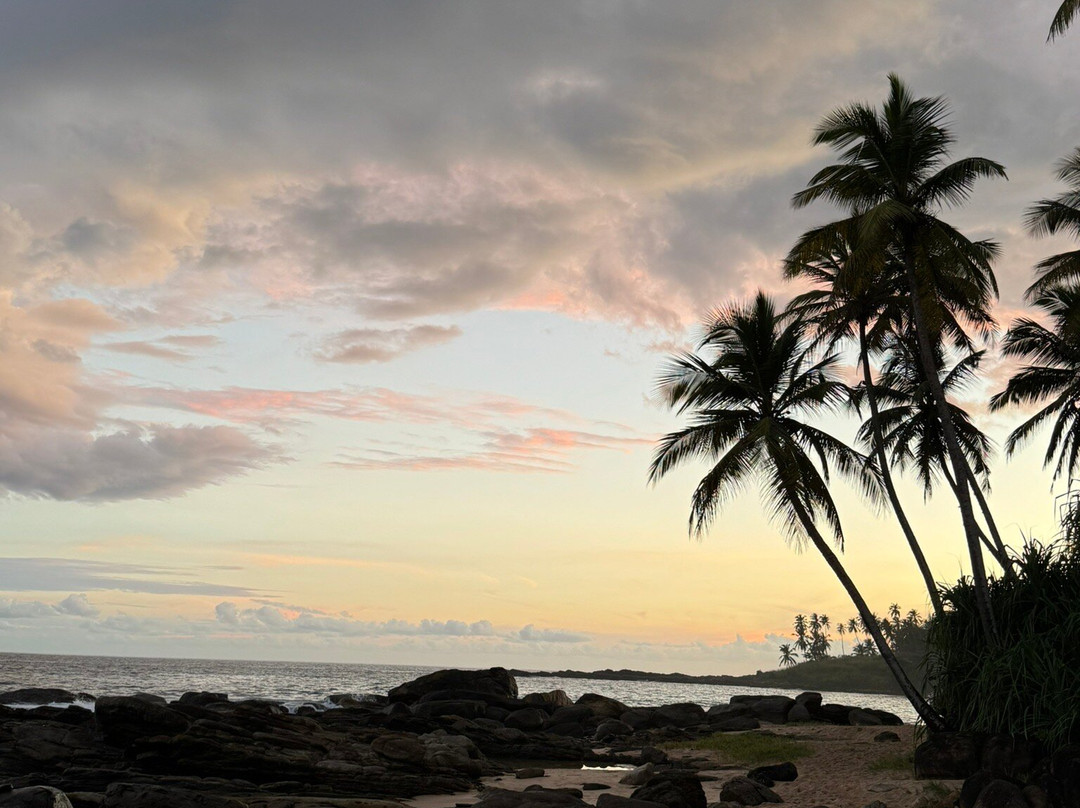 Amaze Tours-Kurunegala必去景点