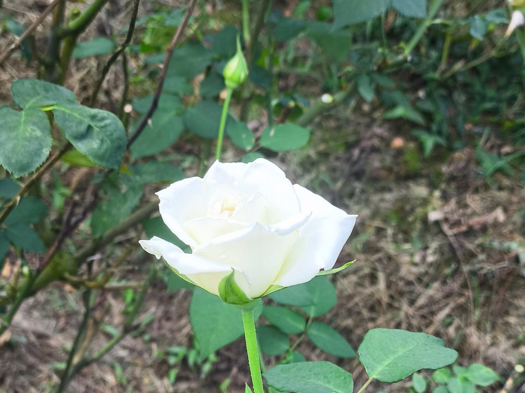 Gravatá Offroad-格拉瓦塔必去景点