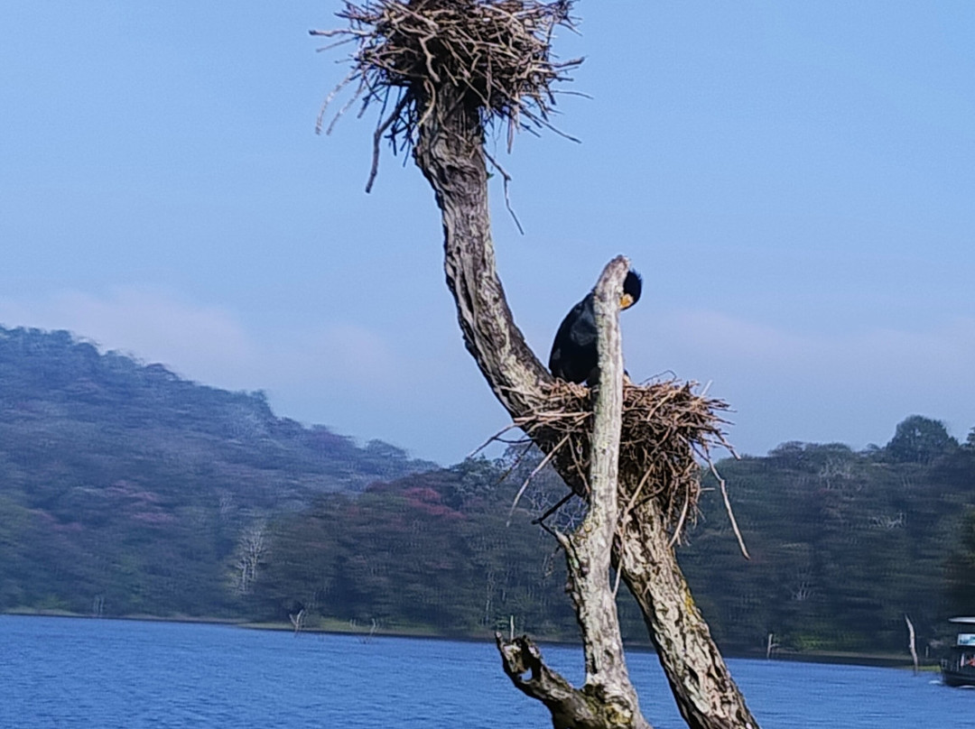 Keralacochinmunnartaxi Rentals-Kalady必去景点