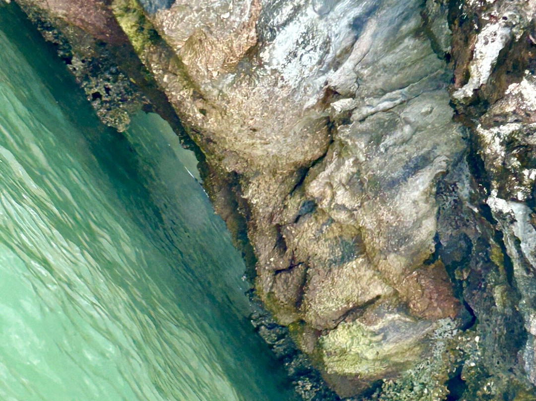 Phuket Local Guide Kong-Koh Kaew必去景点