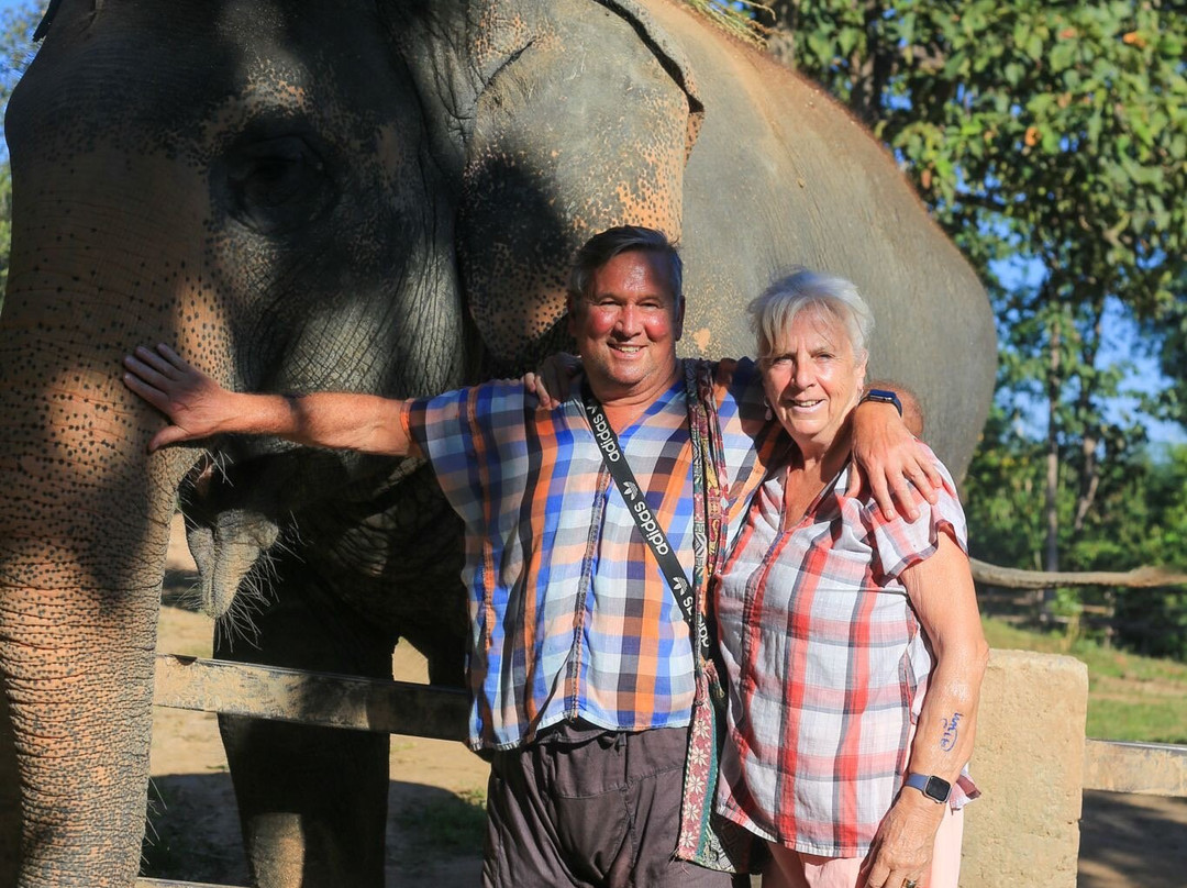 Maerim Elephant Sanctuary-夜林必去景点