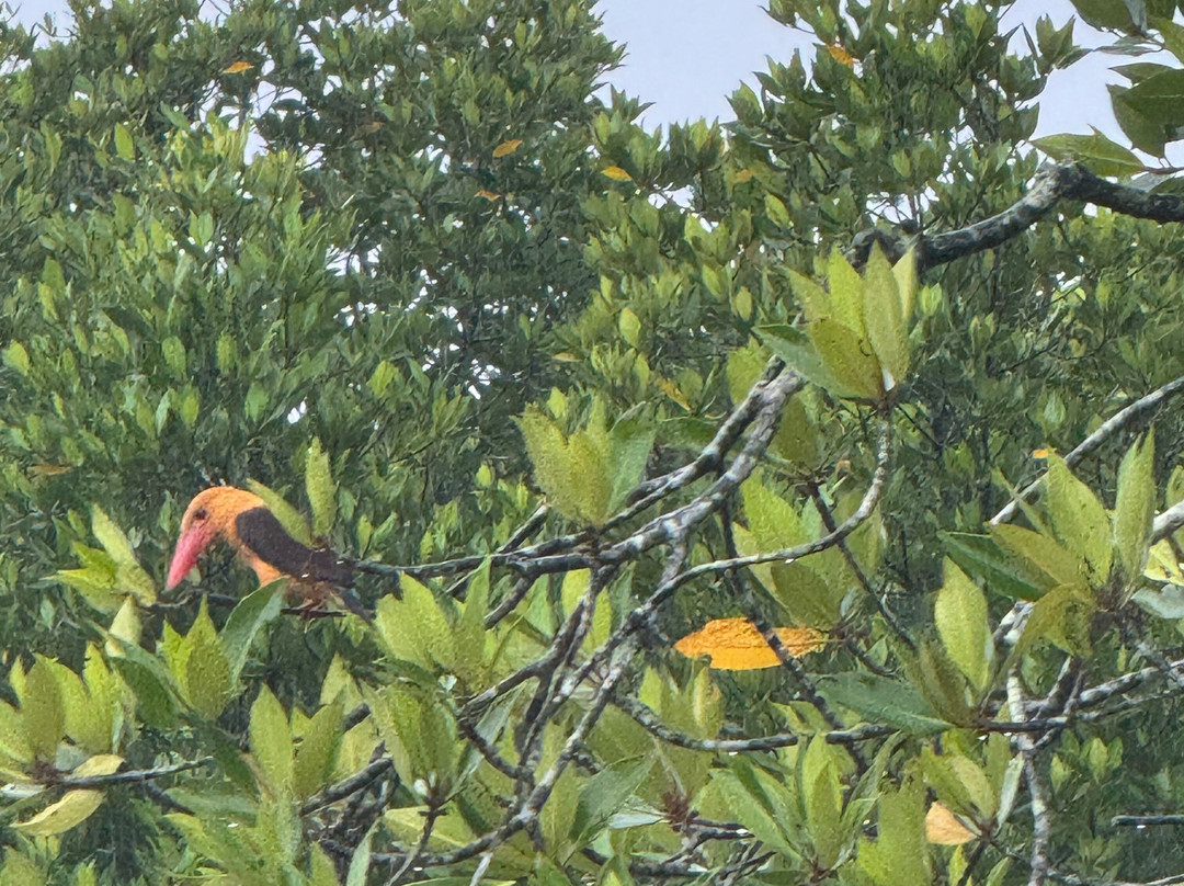 Koh Phee & Koh Talabeng - Day Trip by Talabeng Sea Kayaking-兰塔岛必去景点