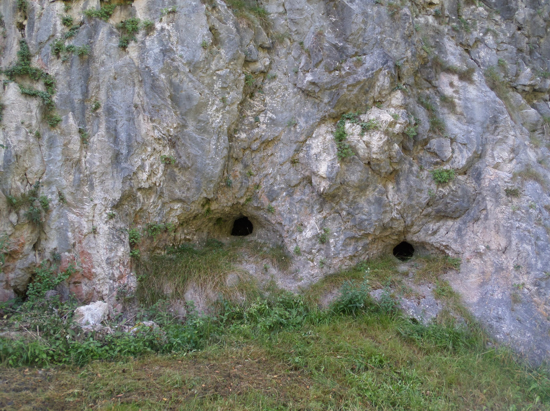 Lago d'Ampola-Tiarno di Sopra必去景点