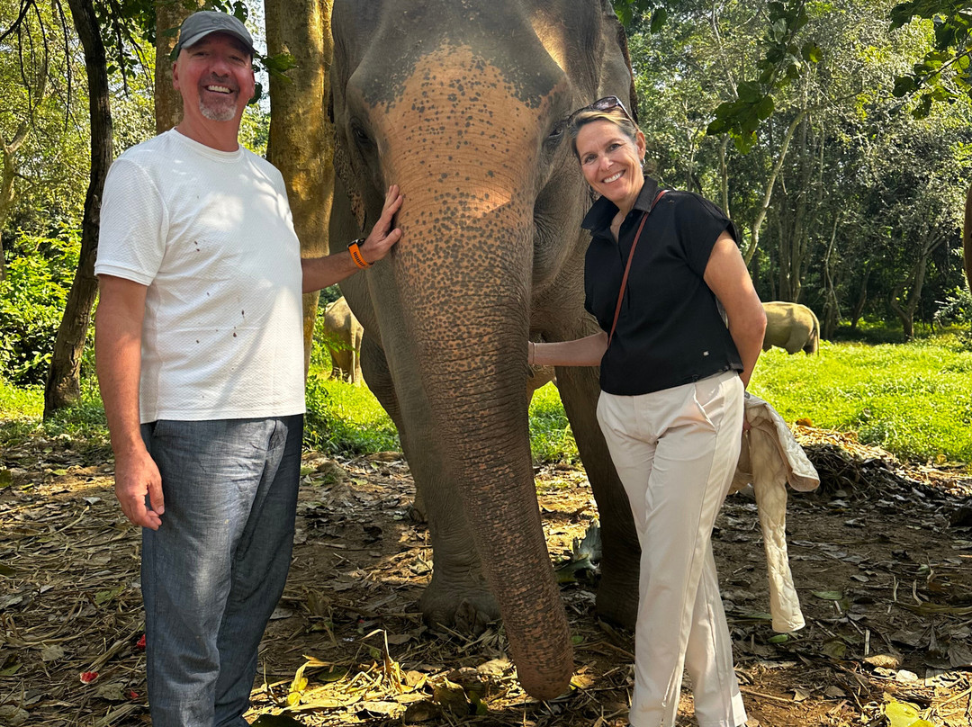 Elephant Haven-柿约必去景点