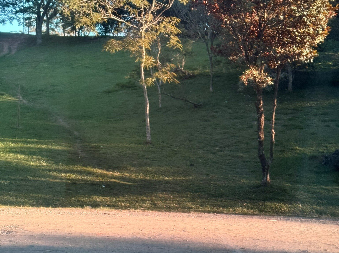 Parque do Carmo-圣保罗必去景点