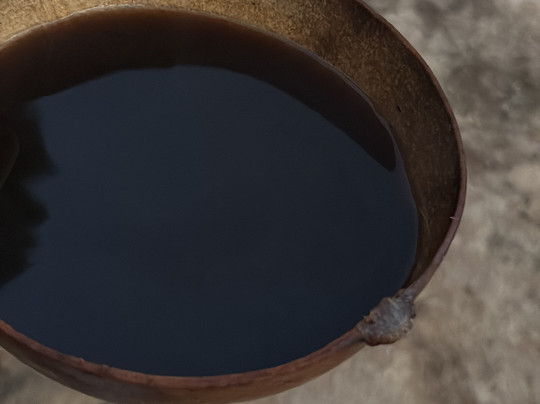 Ecoturismo Comunitario Wayak Sian Kaan-Tres Reyes必去景点