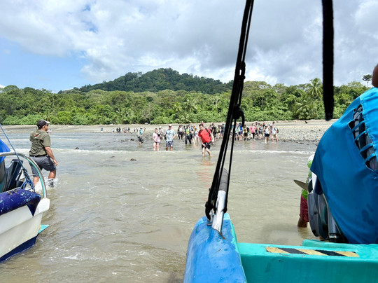 Corcovado National Park-Carate必去景点