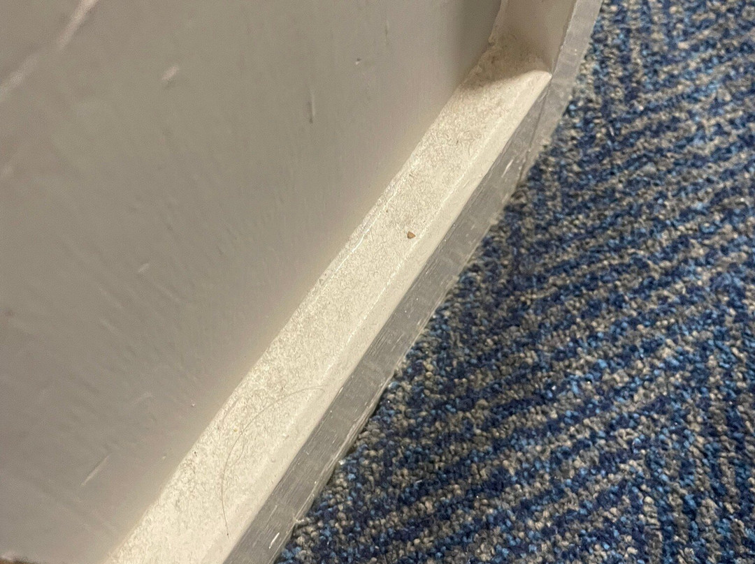 Travelodge Cambridge Fourwentways主图