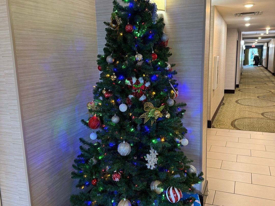 奥兰多东智选假日套房酒店主图