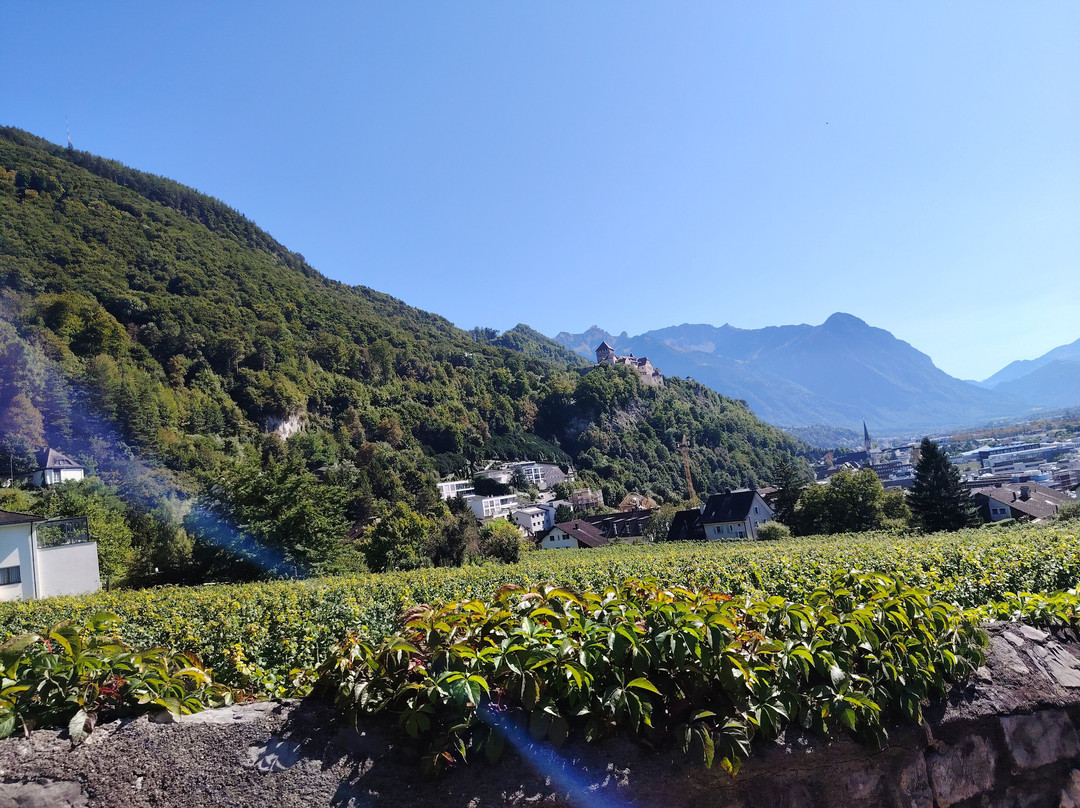 Liechtenstein Center-瓦杜兹必去景点