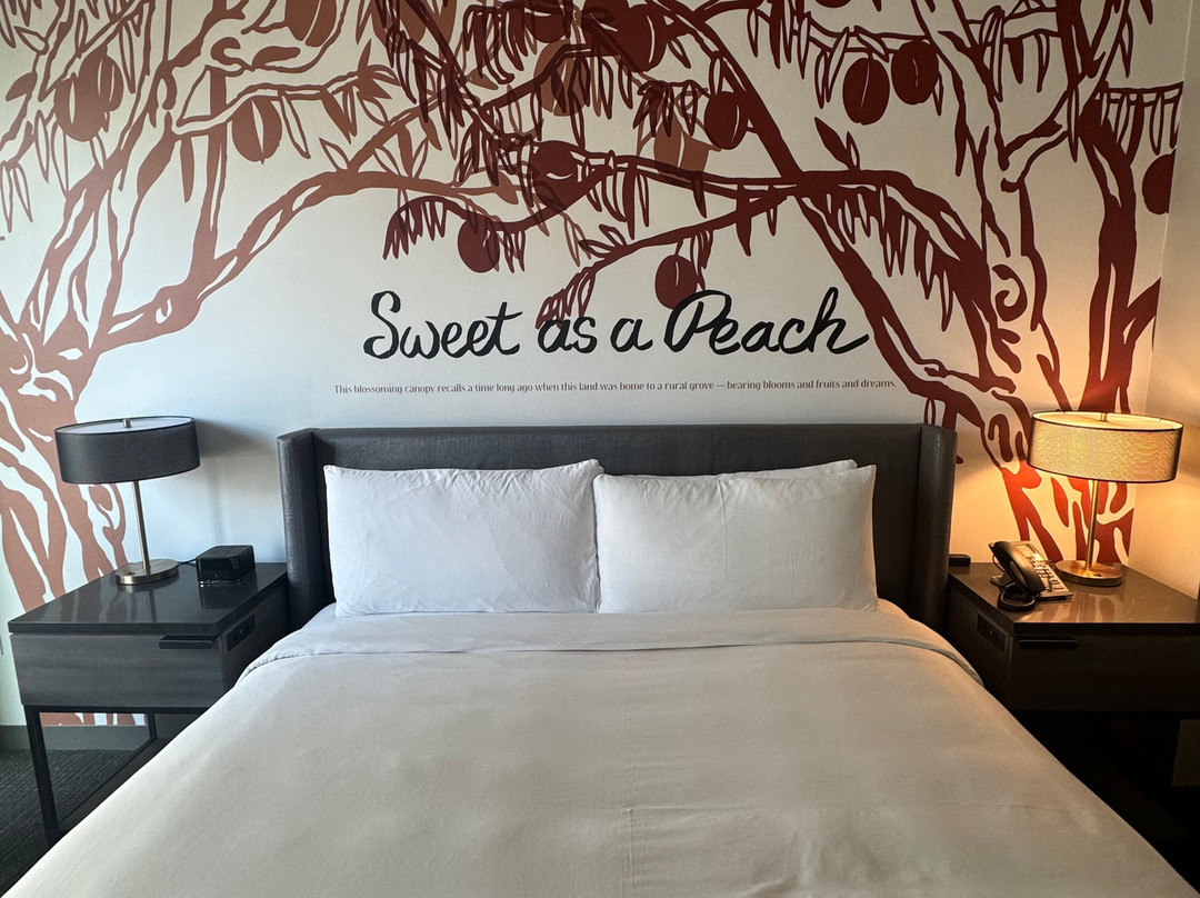 Archer Hotel Tysons主图