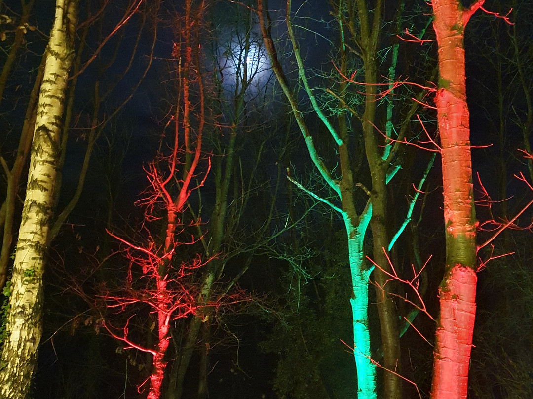 Heritage Wood-阿什伯恩必去景点