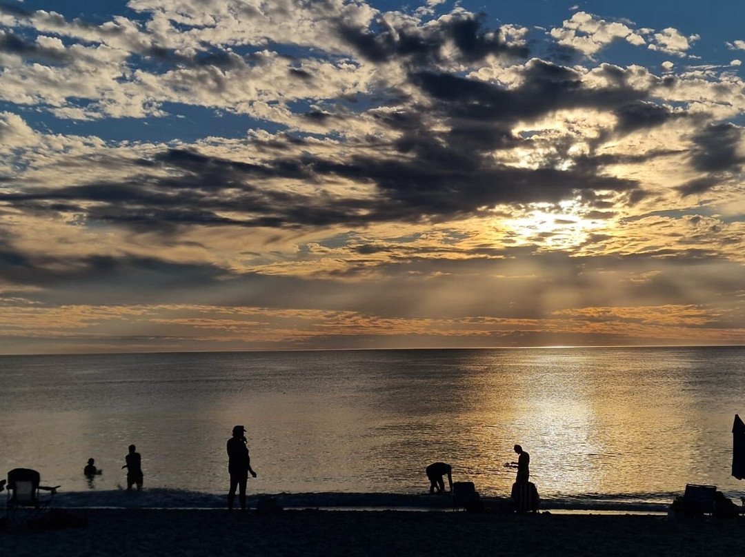 Manasota Key Beach-恩格尔伍德必去景点