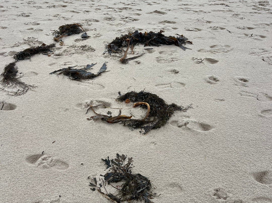 Bamburgh Beach-班堡必去景点