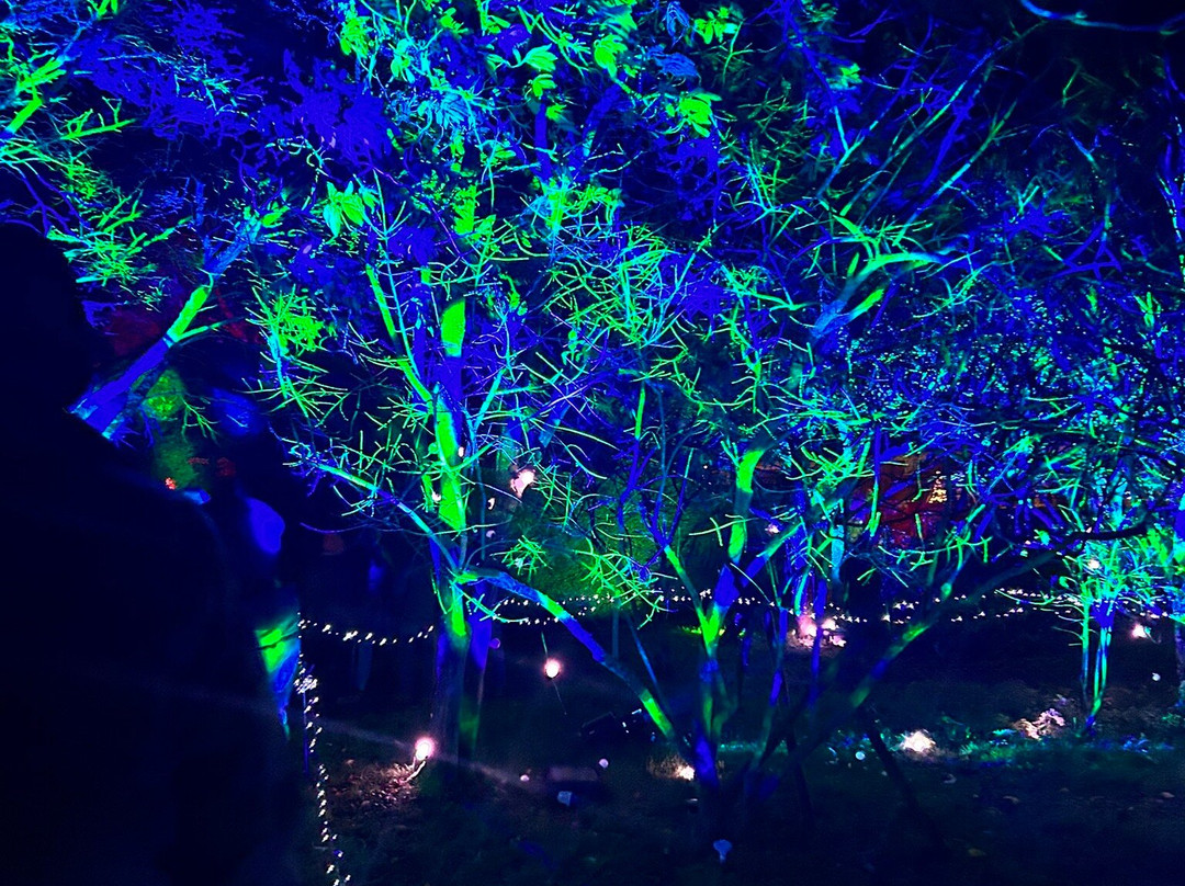 Helmingham Hall Gardens-Helmingham必去景点