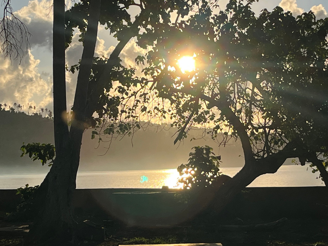 Happy Divers-M'Tsangamouji必去景点