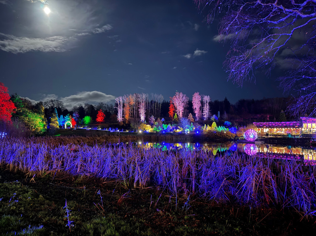 Bedgebury National Pinetum And Forest-Goudhurst必去景点