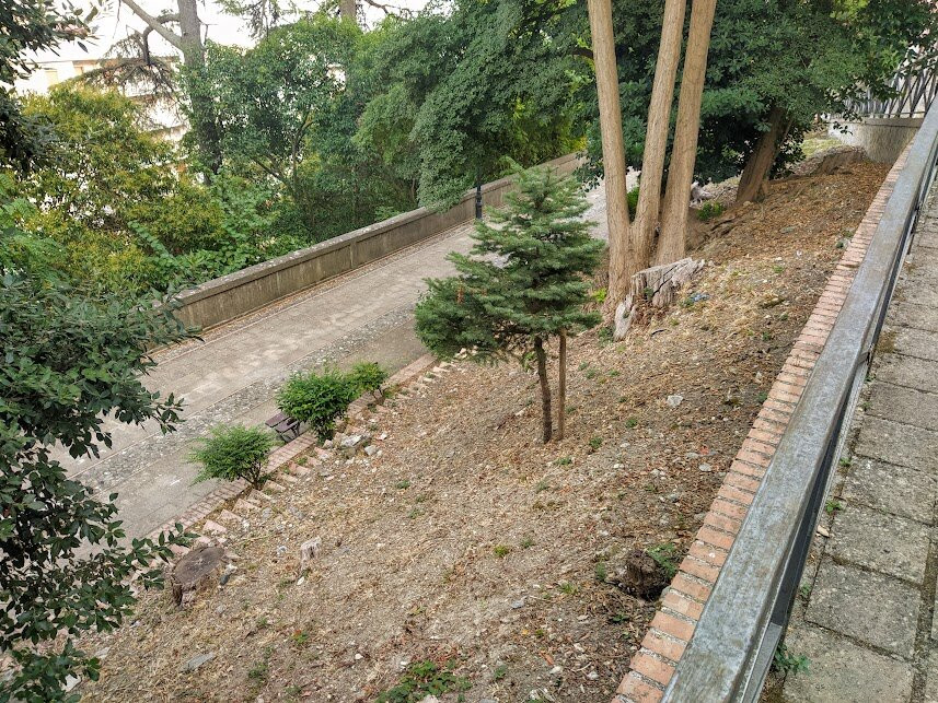 Villa Trieste-卡坦扎罗必去景点