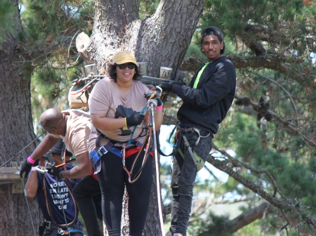 Acrobranch Garden Route-荒野必去景点