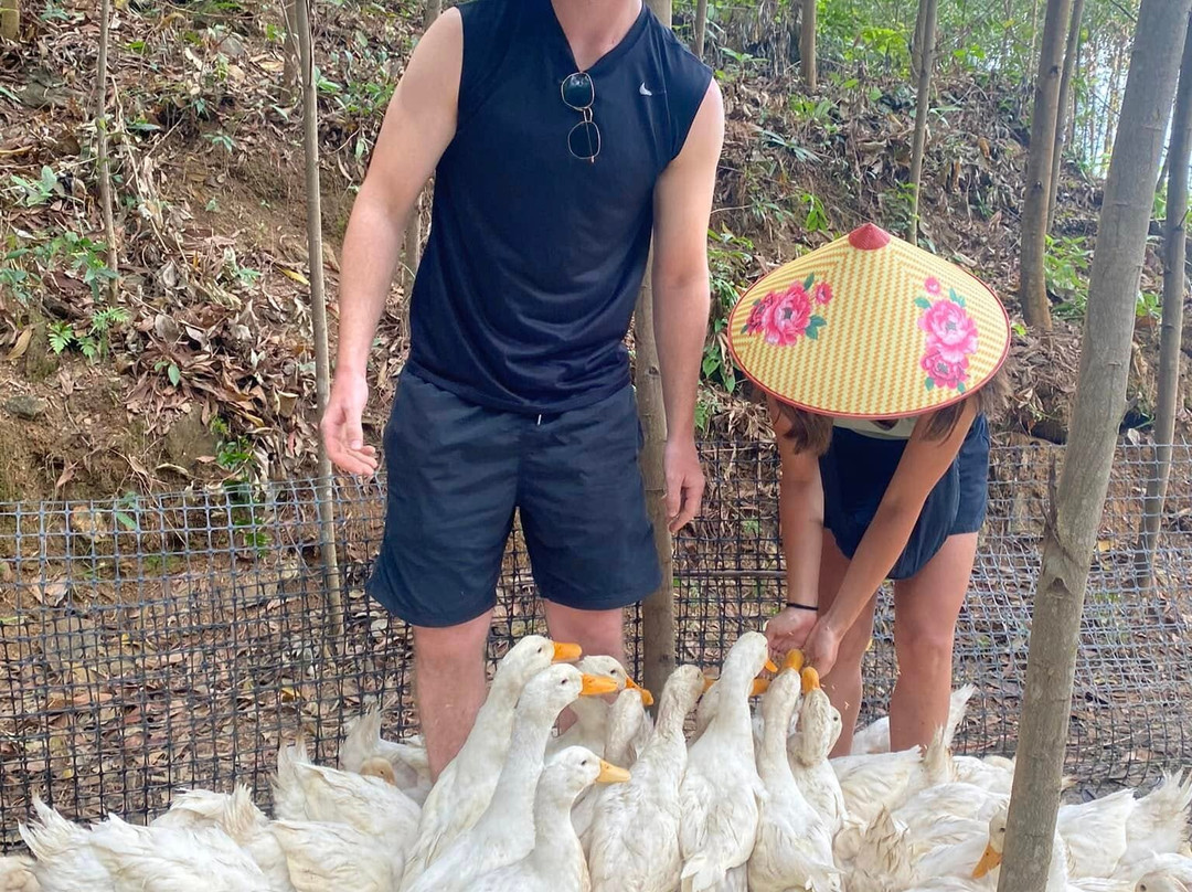 Indochine Junk-卡巴必去景点