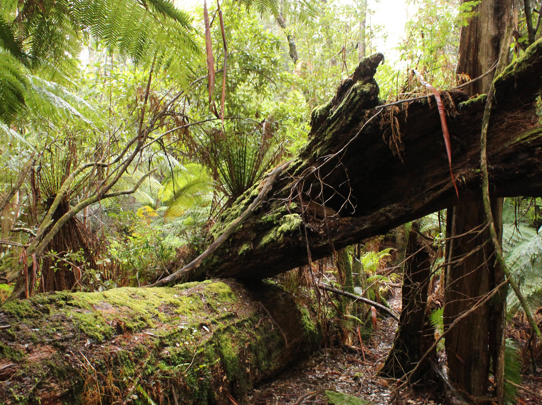 Beaumaris Beach Guest House主图