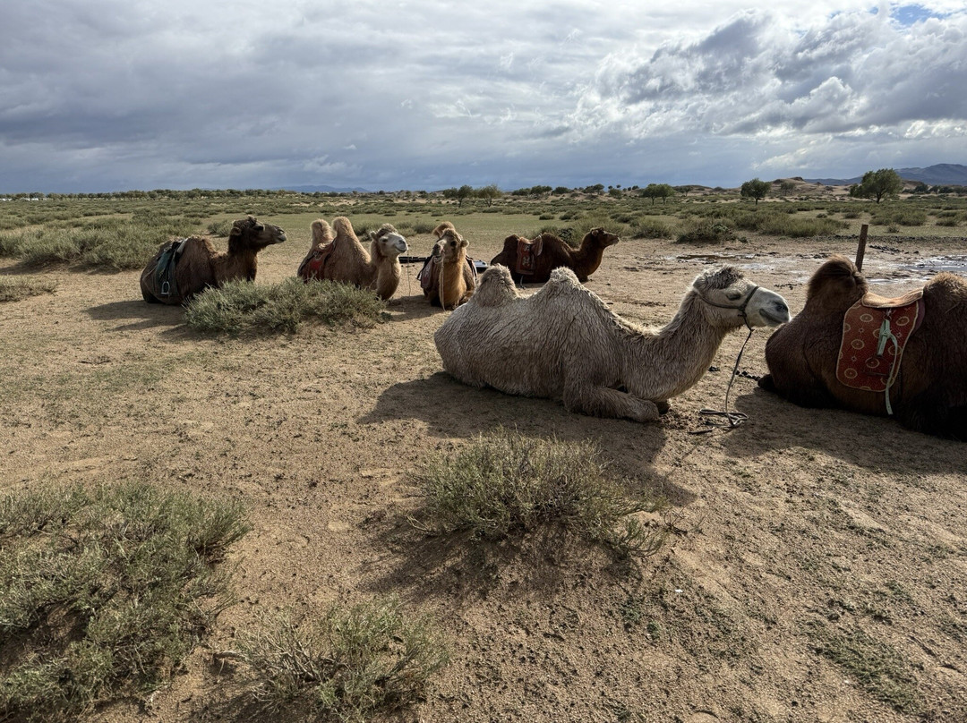 Sunpath Mongolia-乌兰巴托必去景点