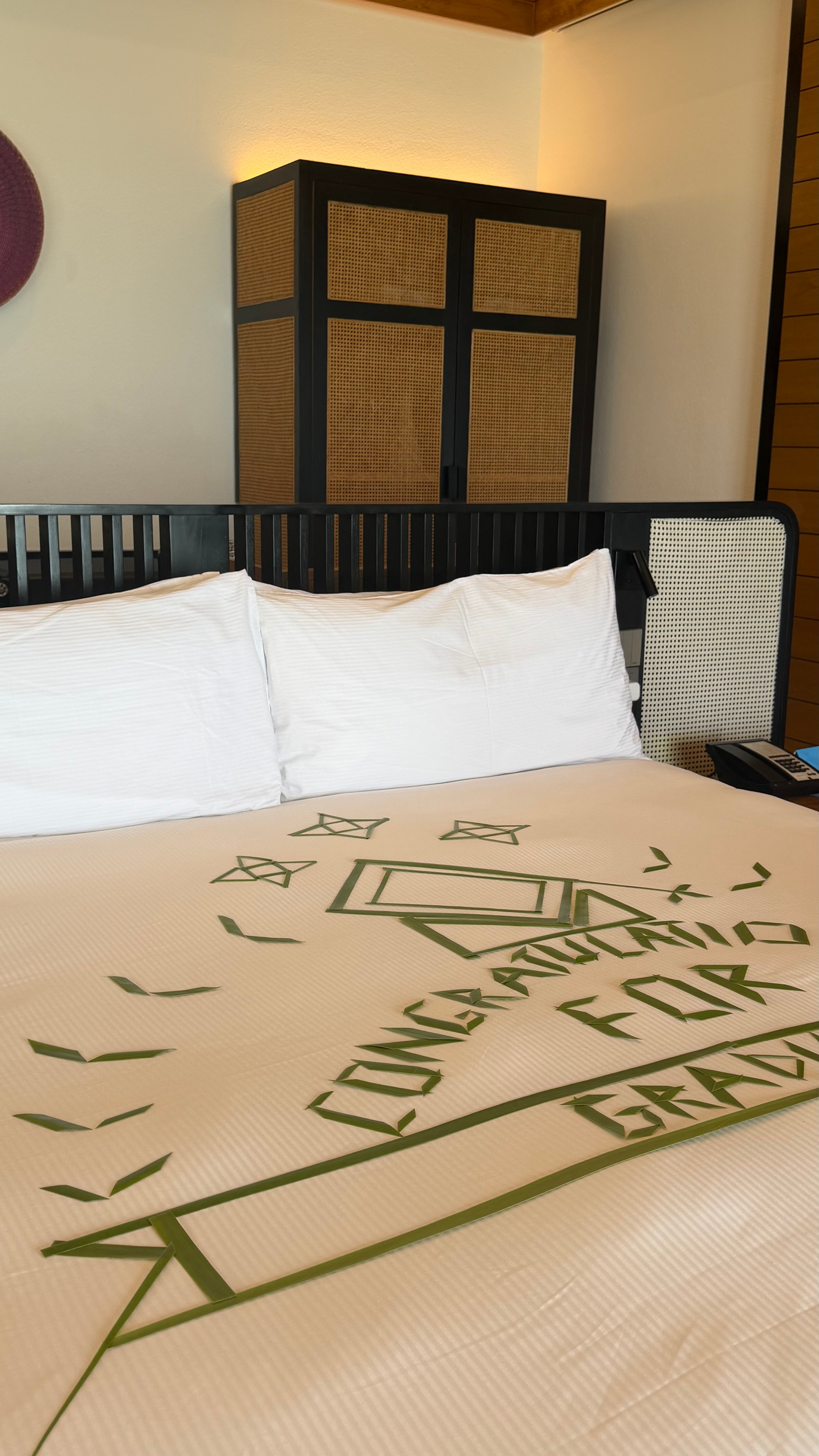 Hilton Maldives Amingiri Resort & Spa-官方