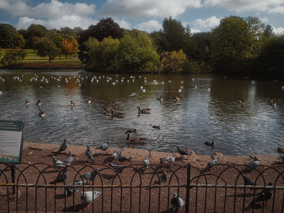 Alexandra Park-奥尔德姆必去景点
