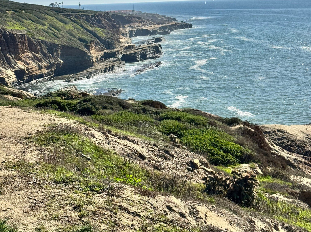 Cabrillo Tide Pools-圣地亚哥必去景点