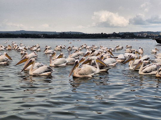 Emmanuel Tour Bahir Dar Ethiopia-巴哈尔达尔必去景点