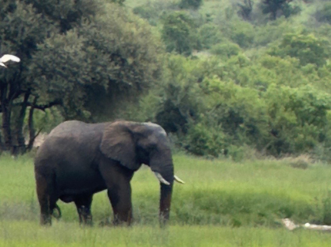 Loisico Tours and Excursions-Bloubergstrand必去景点