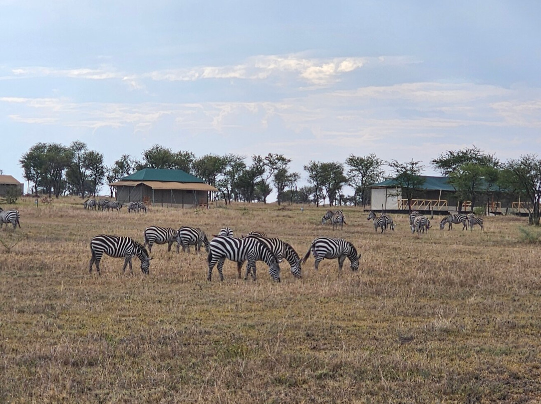 OSOTUA TENTED CAMPS-Ikoma必去景点