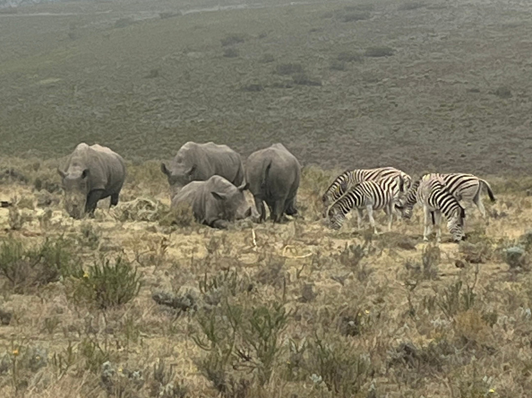 Sizanani Adventure Tours-开普敦必去景点