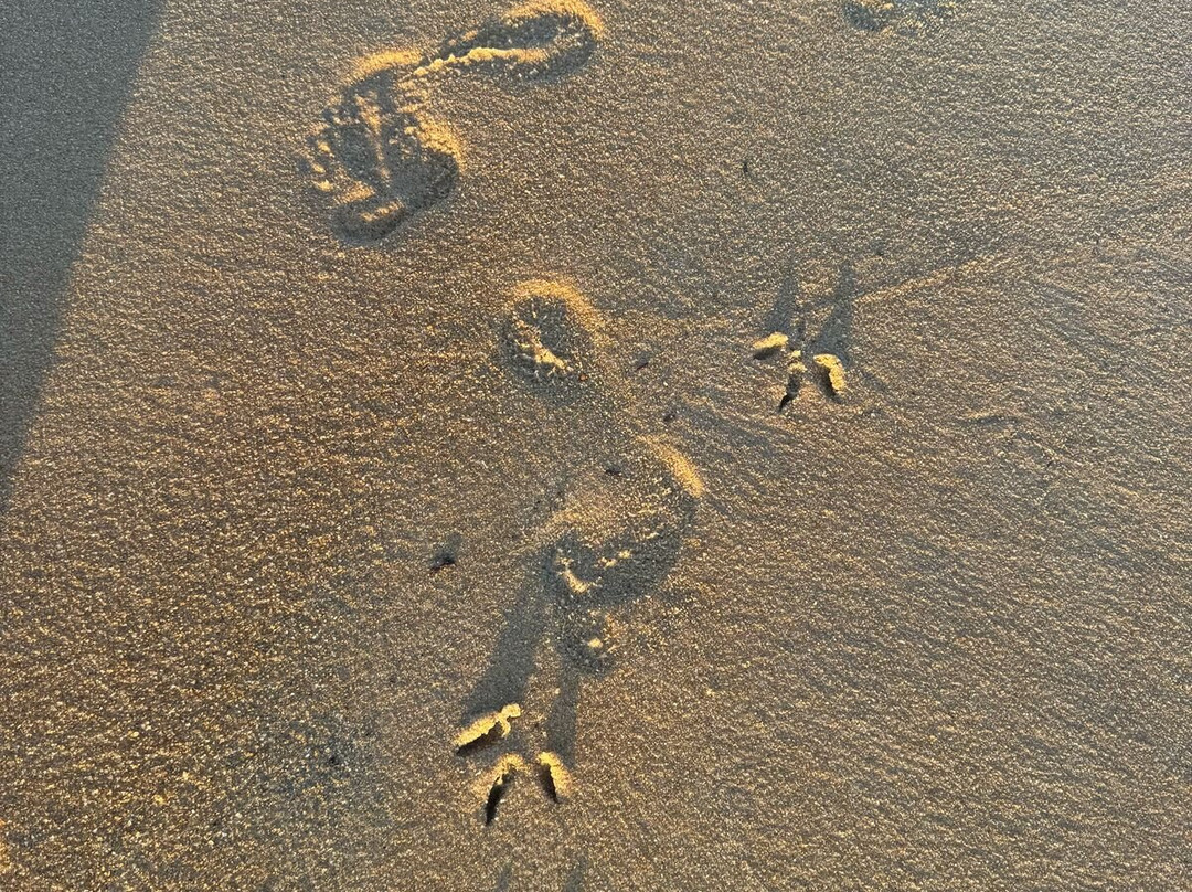 Belle Azure-蒙罗维亚必去景点