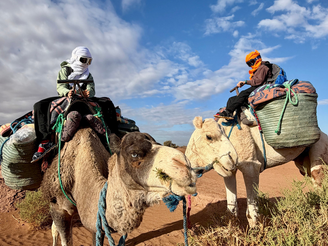 Mélodie du désert-迈哈米德必去景点