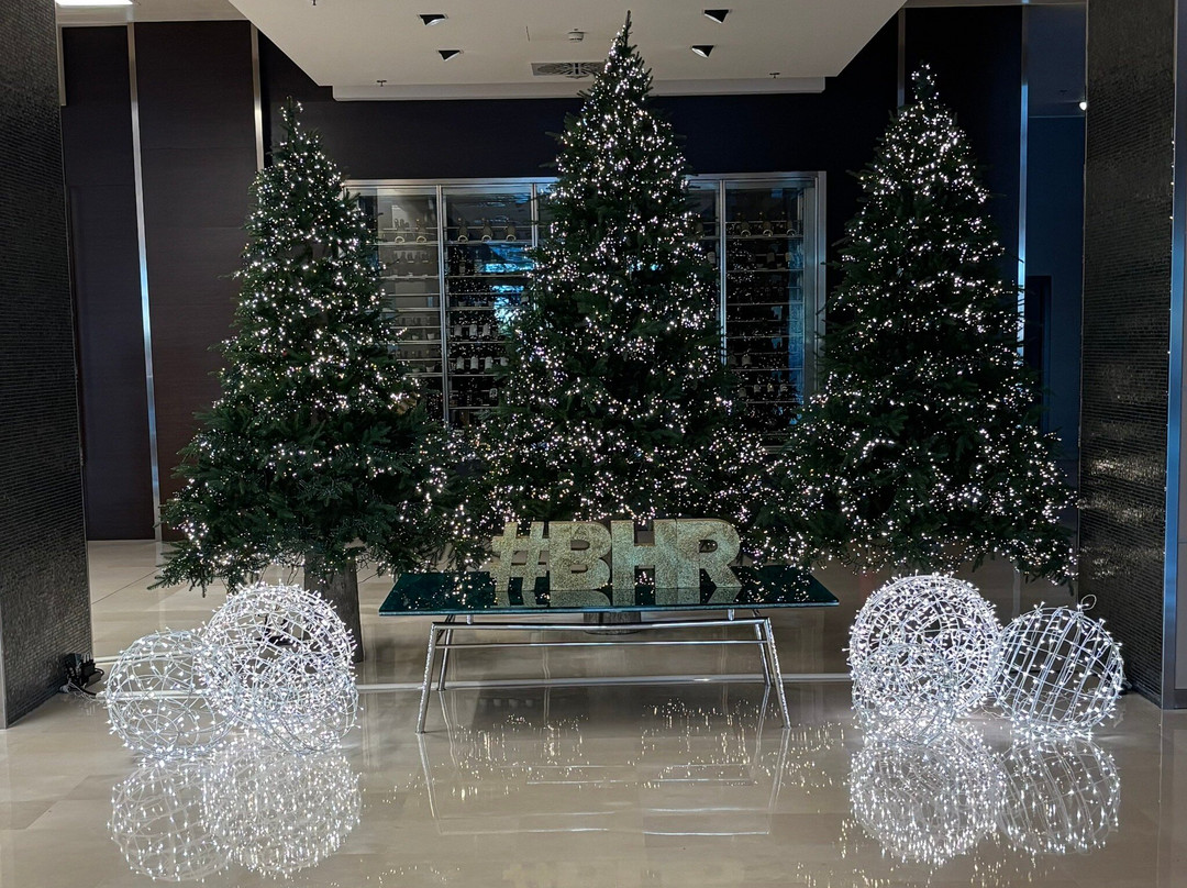 BHR特拉维索酒店主图