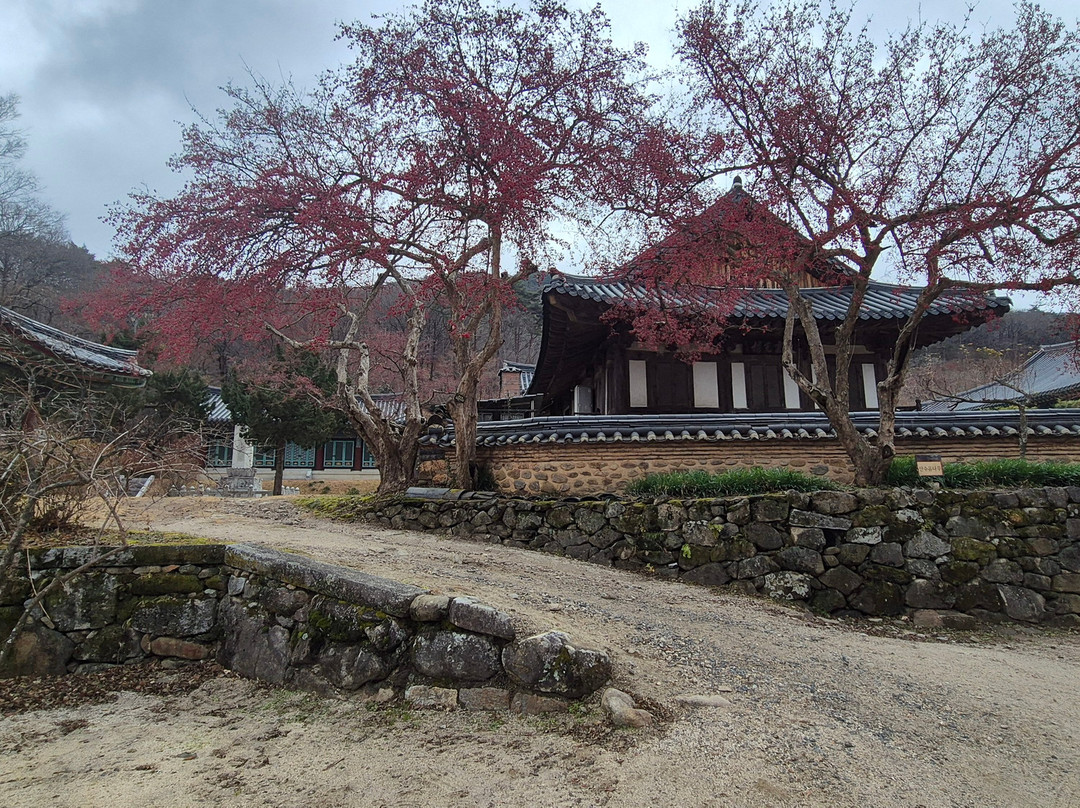 Songgwangsa Temple-顺天市必去景点