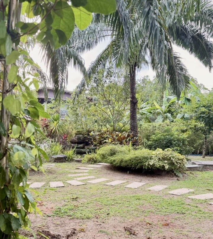 Palm Scenery Resort