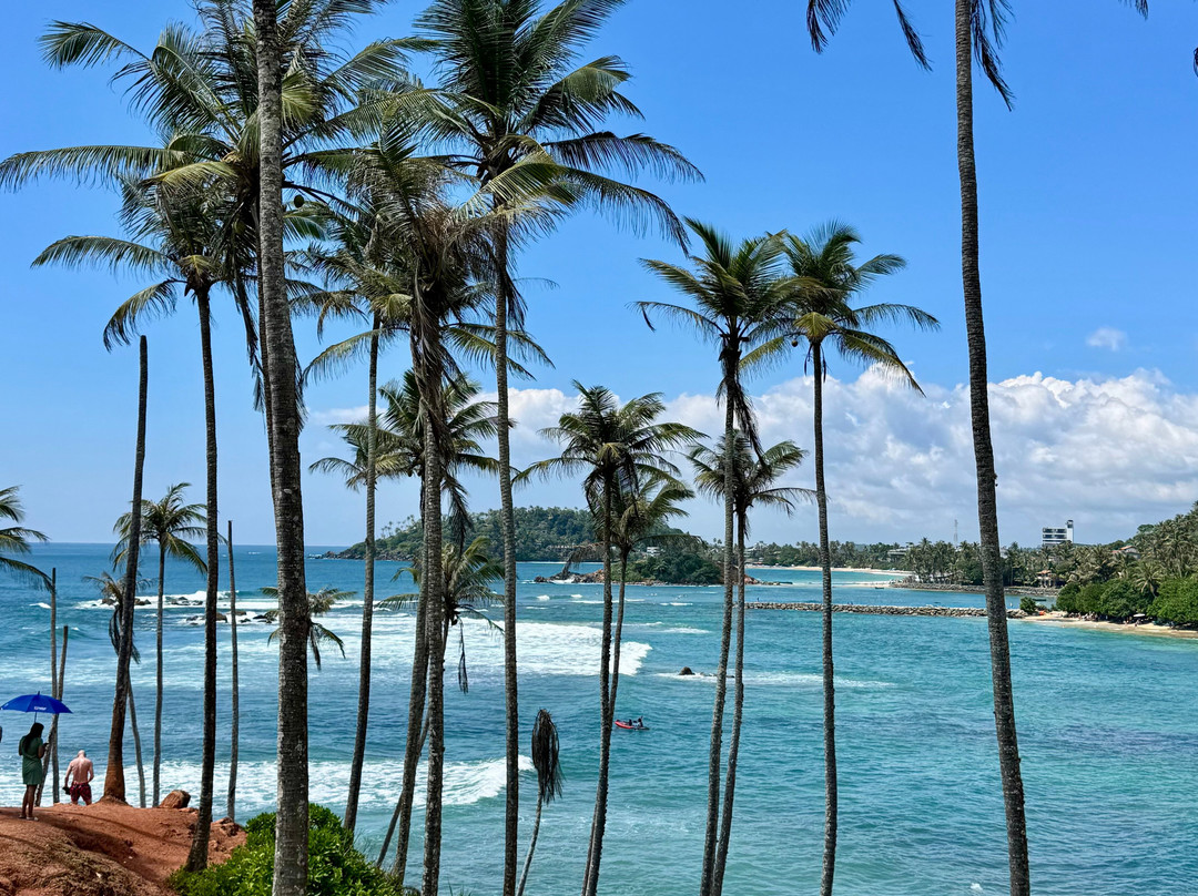 Coconut Tree Hill-美蕊沙必去景点