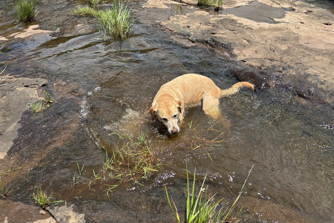 Cascata Barragem do Divisa-Sao Francisco de Paula必去景点