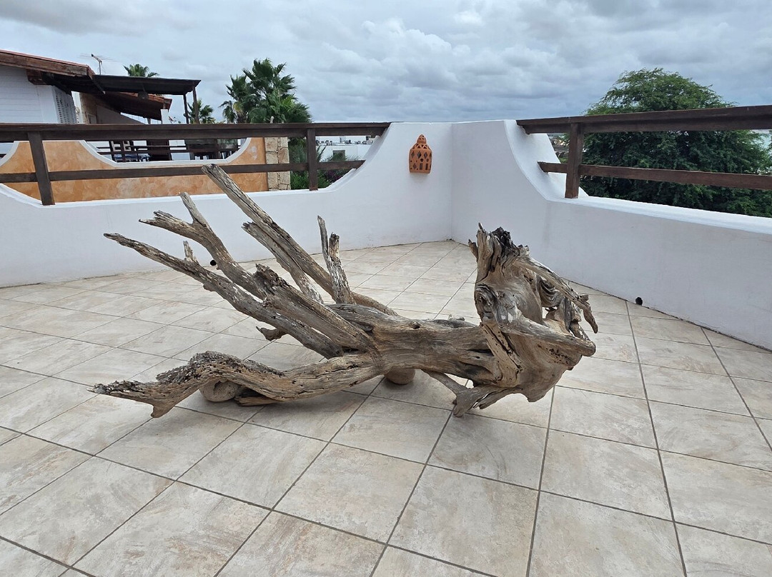 Aparthotel Ca' Nicola主图