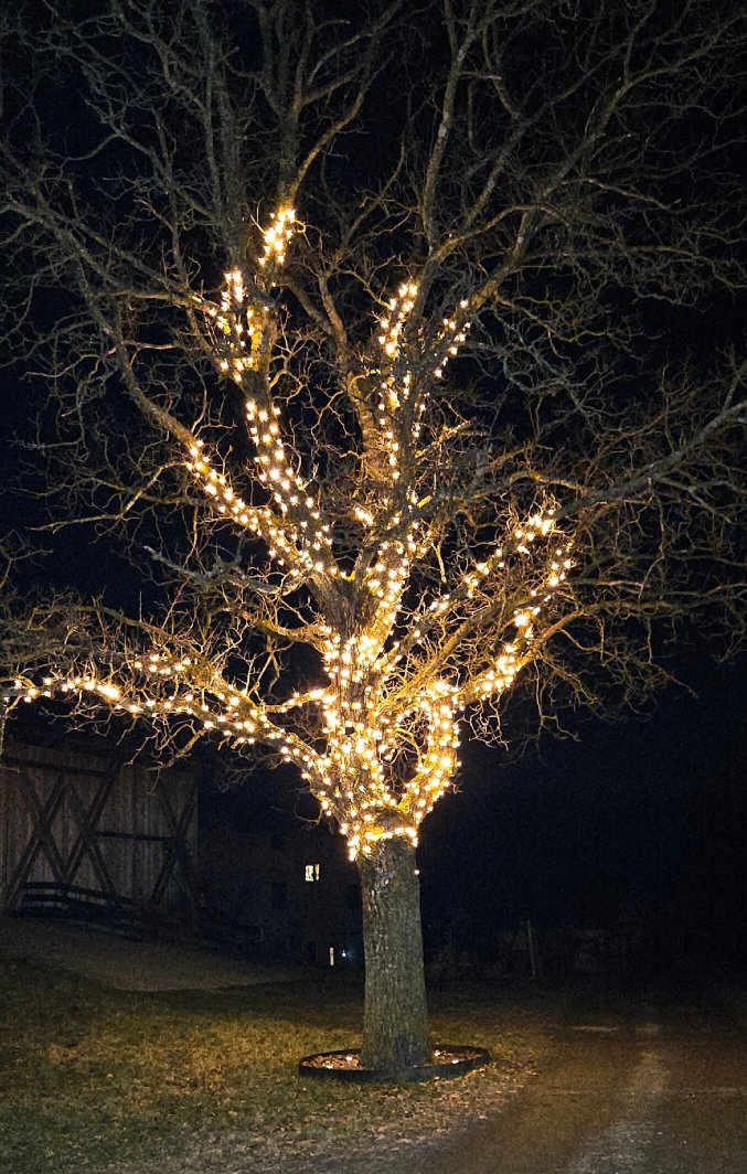 Gasthof Weidmannshof-官方