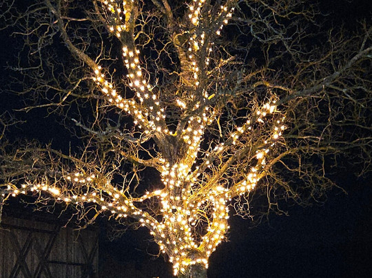 Gasthof Weidmannshof主图