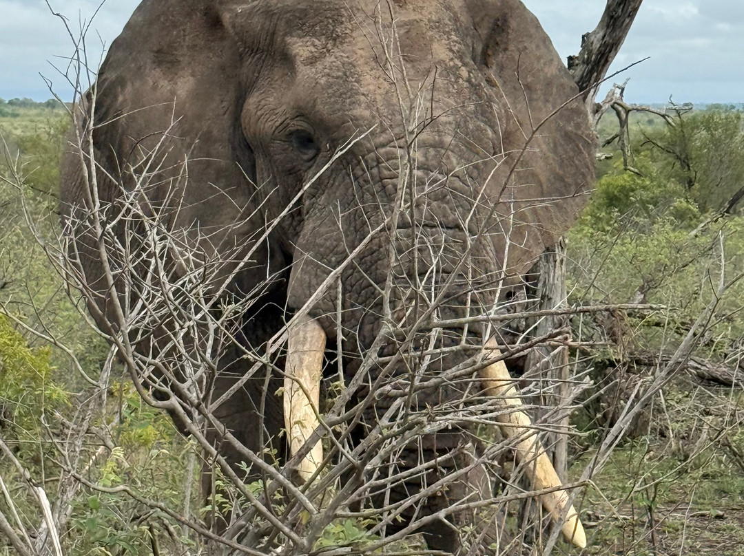 Famba Travel & Safaris-参宁必去景点