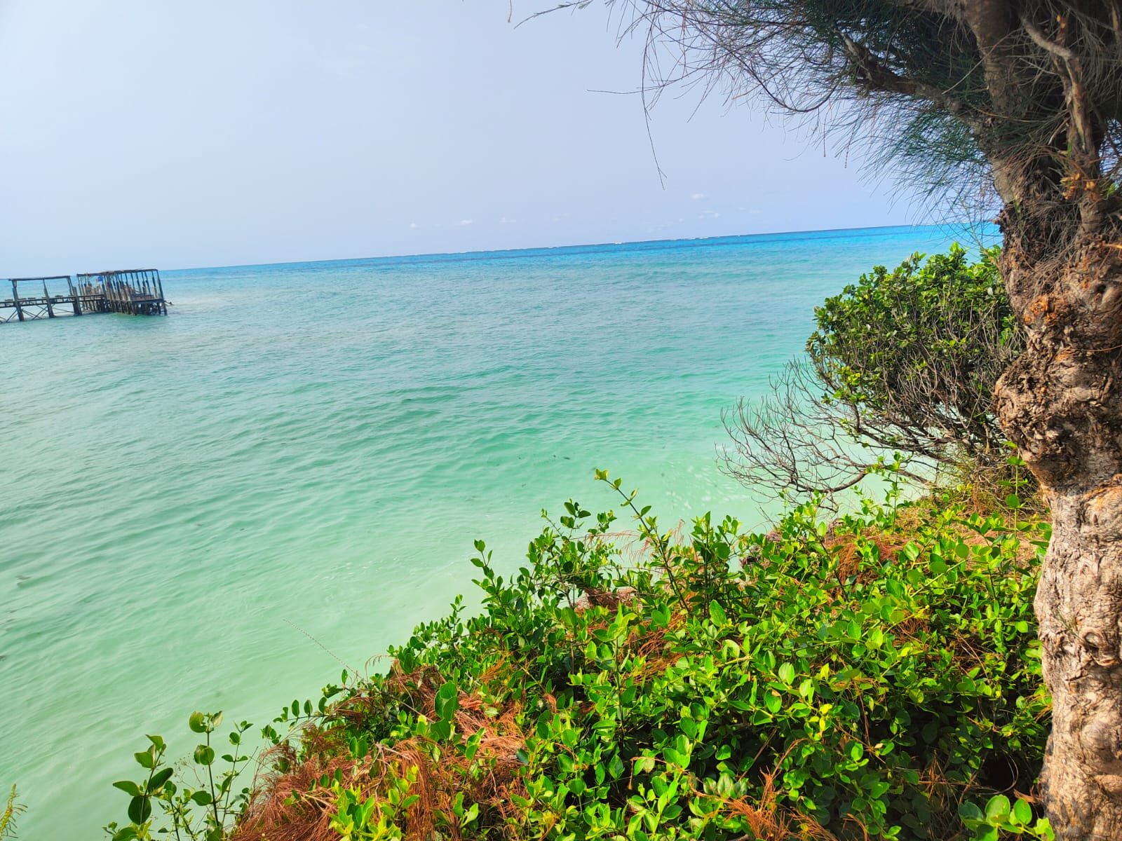 Reef & Beach Resort-泳池