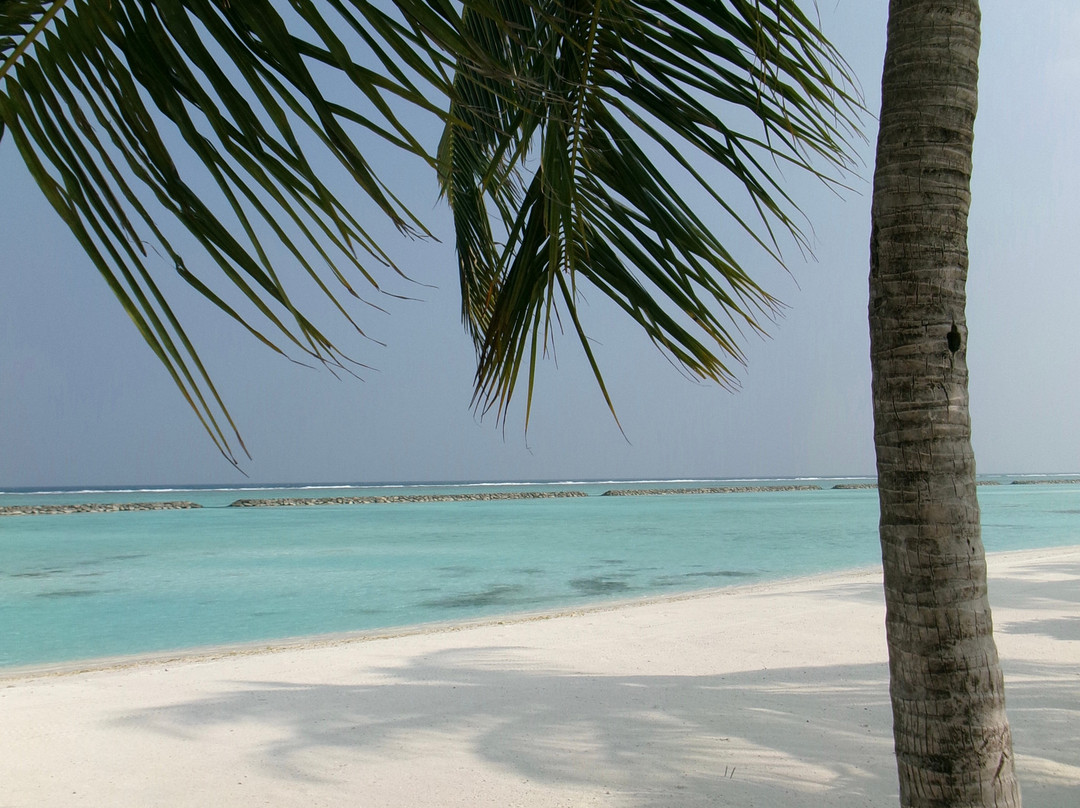 Nala Maldives By Jawakara