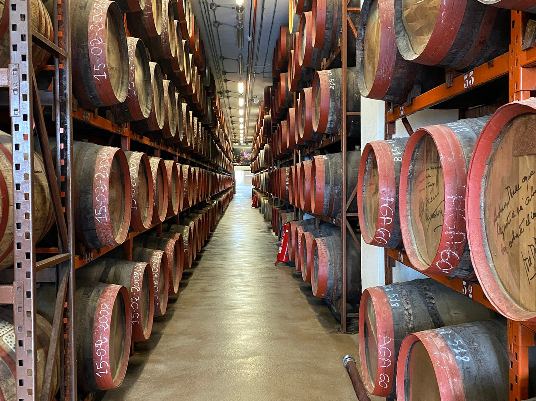 Arehucas Rum Distillery-Arucas必去景点